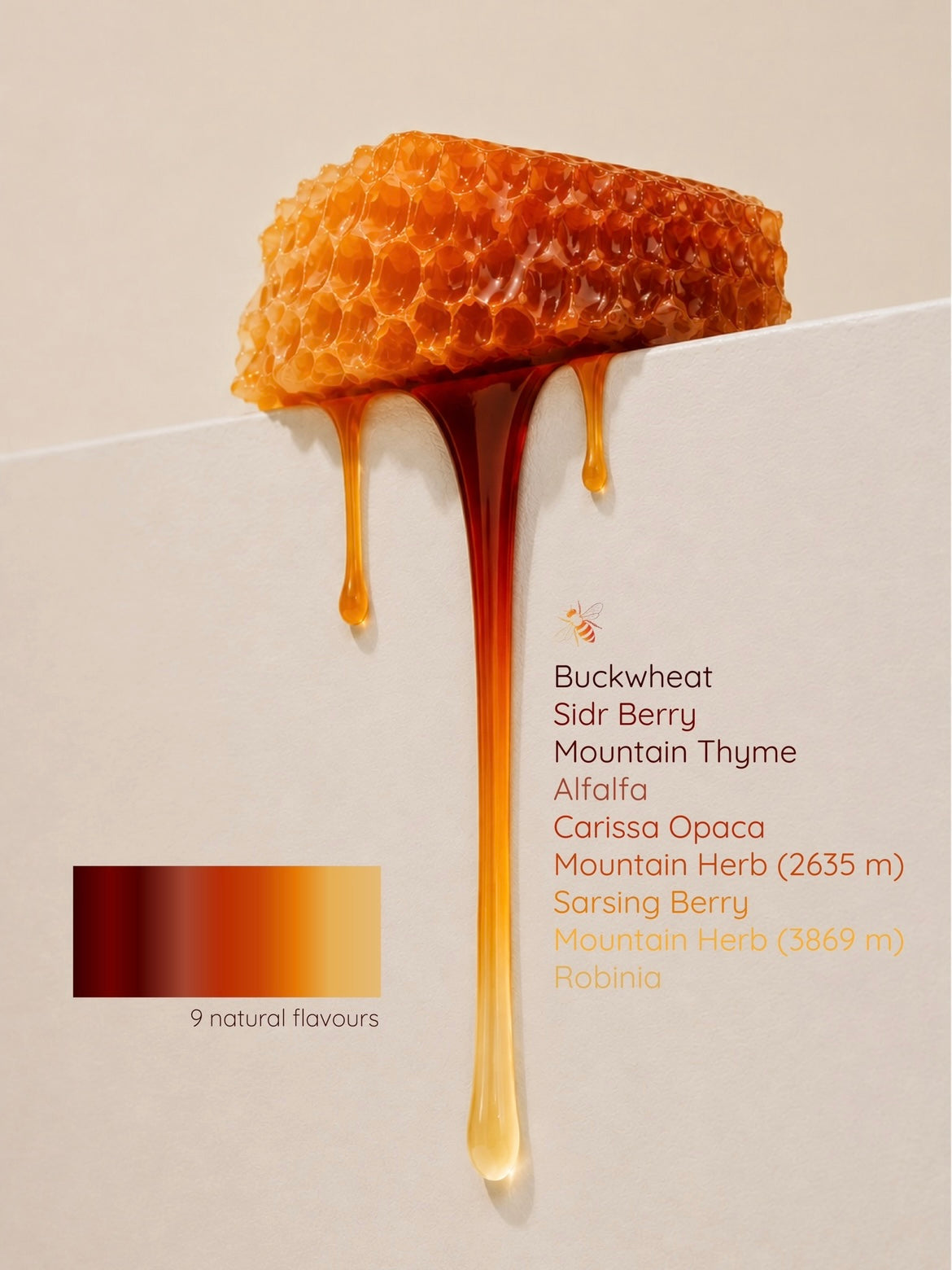 Why Are There Different Colors of Honey? - The Science Behind Honey Color